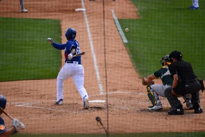 DSC_1573 (Large).JPG